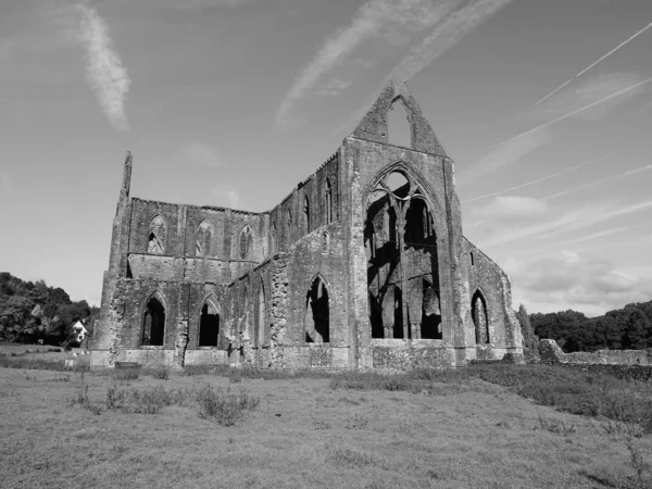 Tintern Abbey (Abaty Tyndyrn) in Tintern, black-white — стокове фото