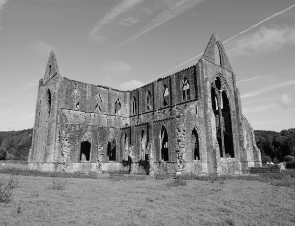 Tintern abbey (abaty tyndyrn) in tintern, schwarz und weiß — Stockfoto