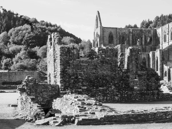 Tintern Abbey (Abaty Tyndyrn) kaupungissa Tintern, mustavalkoinen — kuvapankkivalokuva