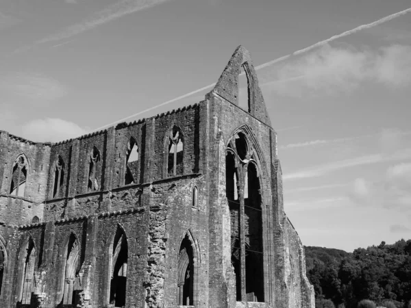 Tintern Abbey (Abaty Tyndyrn) in Tintern, siyah beyaz — Stok fotoğraf