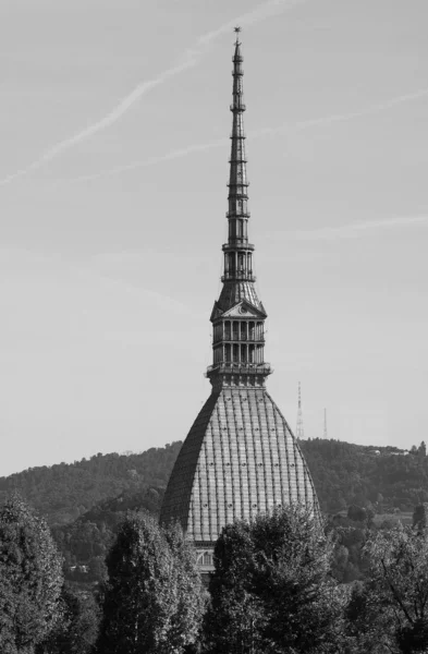 Anyajegy Antonelliana Torinóban, fekete-fehér — Stock Fotó