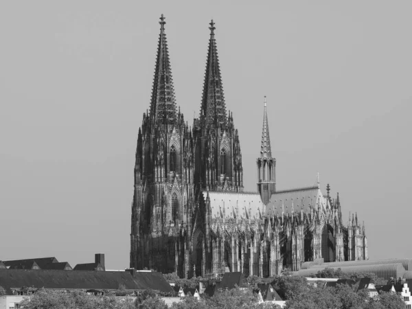 Catedral de San Pedro en Koeln, blanco y negro — Foto de Stock