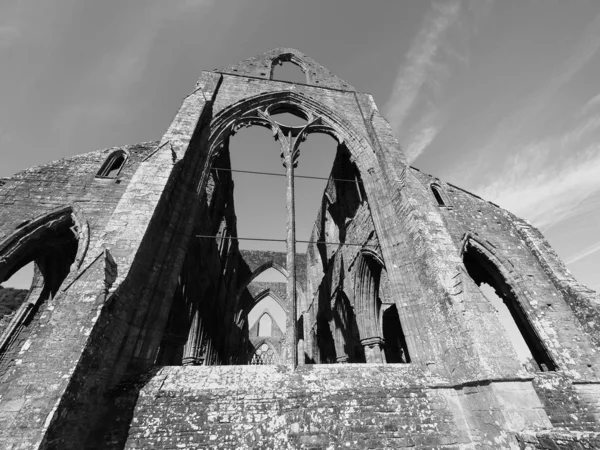 Tintern Abbey (Abaty Tyndyrn) in Tintern, black-white — стокове фото