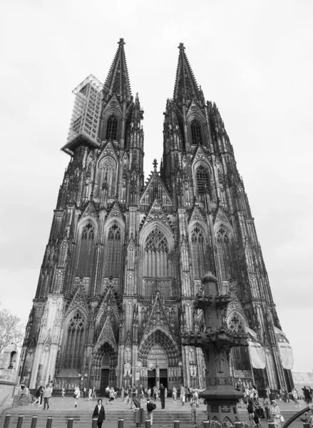 St. Peterdom in Köln, schwarz-weiß — Stockfoto