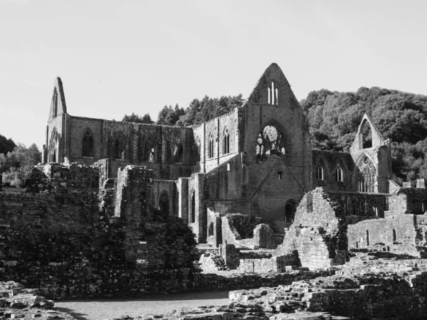 Praktikant Abbey (Abaty Tyndyrn) i Tintern, svartvitt — Stockfoto