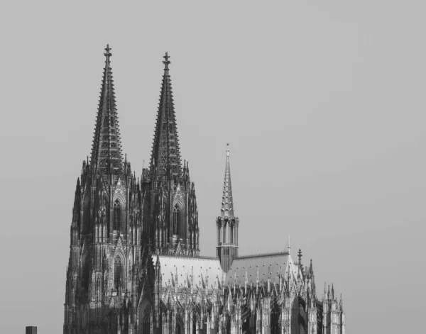 St. Peterdom in Köln, schwarz-weiß — Stockfoto