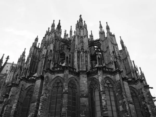 Koeln 'deki Aziz Peter Katedrali, siyah beyaz — Stok fotoğraf