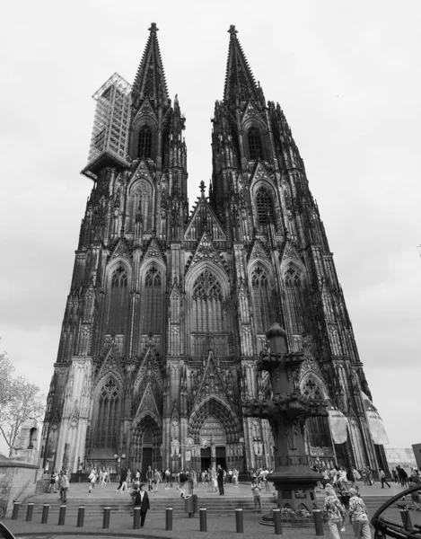 Catedral de São Pedro em Koeln, preto e branco — Fotografia de Stock