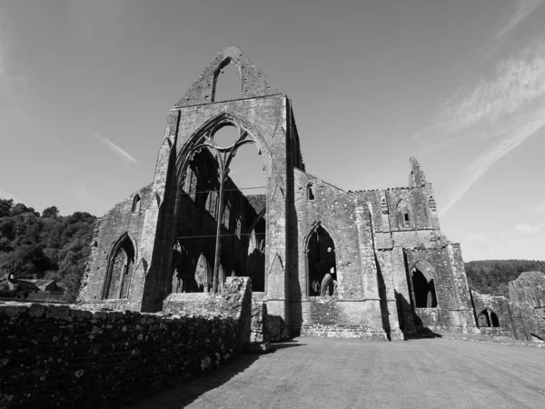 Tintern Abbey (Abaty Tyndyrn) in Tintern, black-white — стокове фото