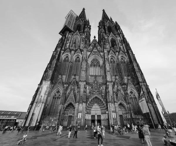 Sint-Pieterskathedraal in Koeln, zwart-wit — Stockfoto