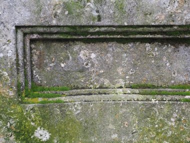 Yosun desenli eskimiş gri beton.