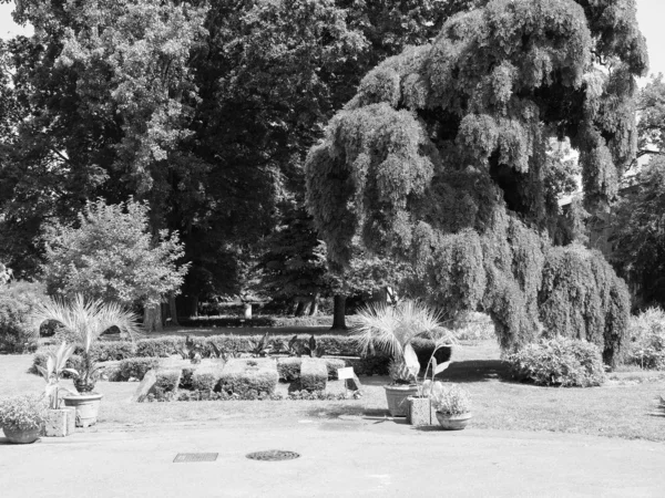 Botanische Gärten in türkin, schwarz und weiß — Stockfoto