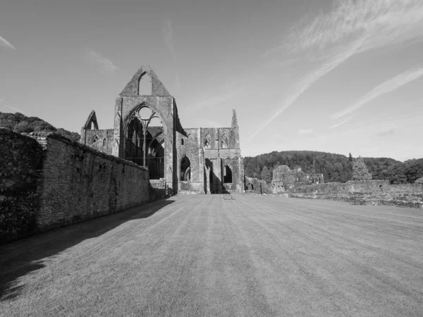 Tintern Abbey (Abaty Tyndyrn) in Tintern, zwart-wit — Stockfoto