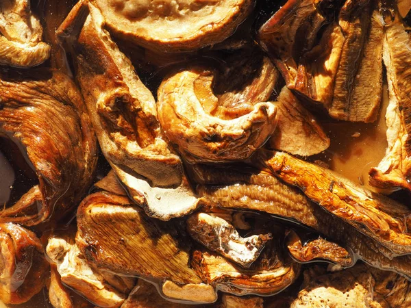 Porcini (boletus edulis) mushroom food — Stock Photo, Image