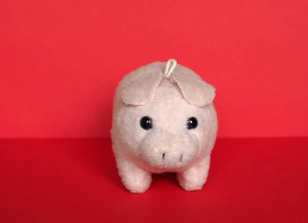 Pink plush pig — Stock Photo, Image