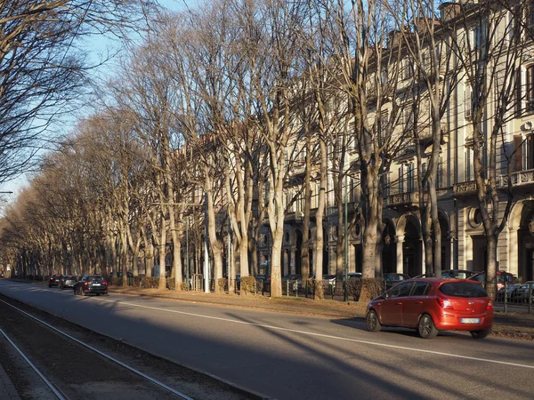 Corso vinzaglio allee in turin — Stockfoto