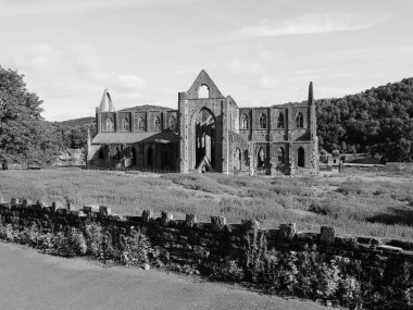 Tintern Abbey (Abaty Tyndyrn) in Tintern, siyah beyaz