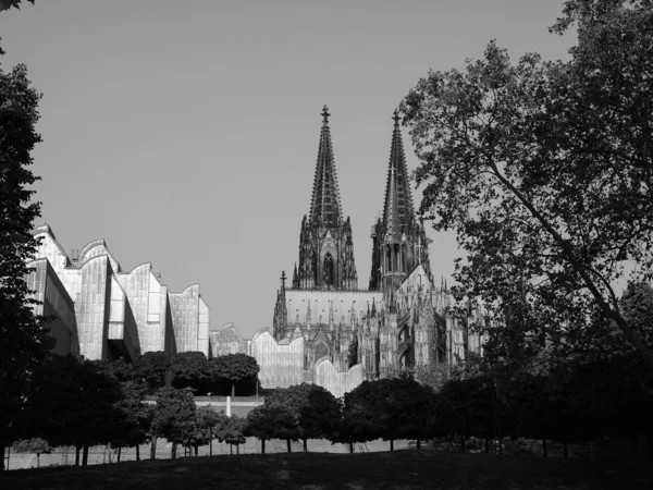 St. Peterdom in Köln, schwarz-weiß — Stockfoto