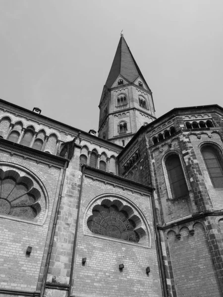 Bonner Muenster (Bonn Minster) basilica church in Bonn, black an — Stock Photo, Image