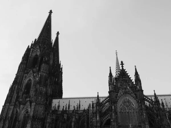 Catedral de São Pedro em Koeln, preto e branco — Fotografia de Stock