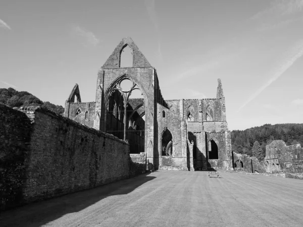 Abadía de Tintern (Abaty Tyndyrn) en Tintern, blanco y negro — Foto de Stock