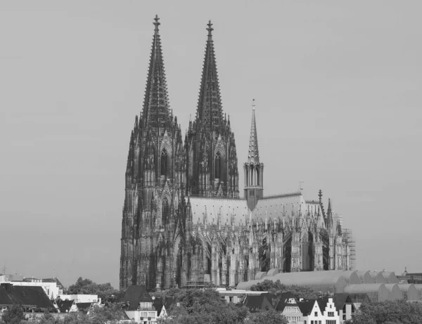 Καθεδρικός ναός του Αγίου Πέτρου στο Koeln, μαύρο και άσπρο — Φωτογραφία Αρχείου