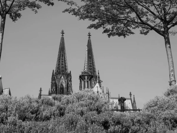 Katedrála sv. Petra v Koelnu, černobílá — Stock fotografie