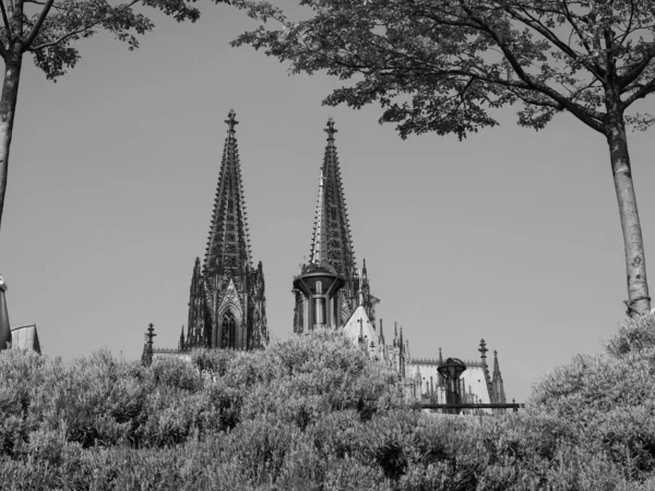 Catedral de São Pedro em Koeln, preto e branco — Fotografia de Stock