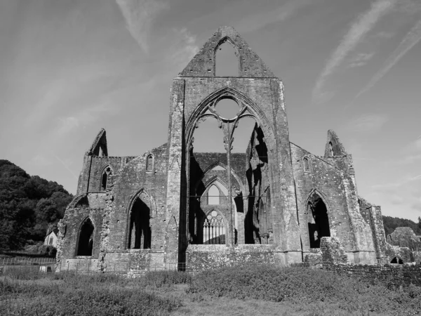 Tintern Abbey (Abaty Tyndyrn) in Tintern, zwart-wit — Stockfoto