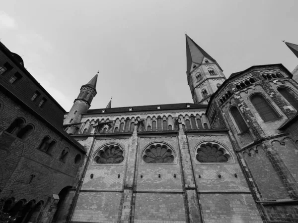 Bonner Muenster (Bonn Minster) basílica iglesia en Bonn, negro y —  Fotos de Stock