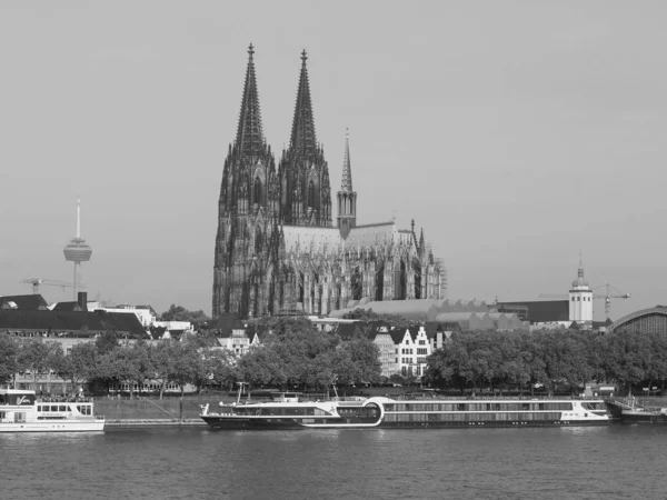 St. Peterdom in Köln, schwarz-weiß — Stockfoto