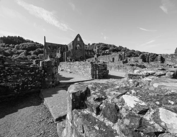 Tintern Abbey (Abaty Tyndyrn) in Tintern, black and white — Stock Photo, Image