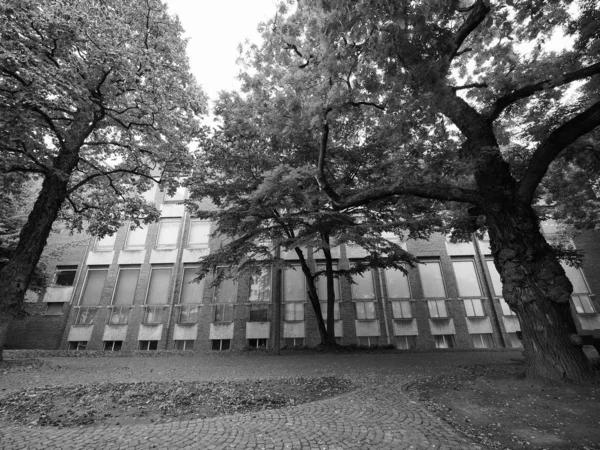 Museu fuer angewandte Kunst (Museu de Artes Aplicadas) em Koeln , — Fotografia de Stock