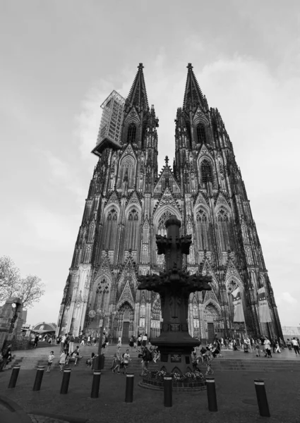 Catedral de São Pedro em Koeln, preto e branco — Fotografia de Stock