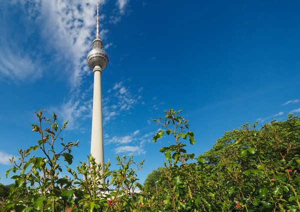 Fernsehturm (Torre de TV) en Berlín —  Fotos de Stock