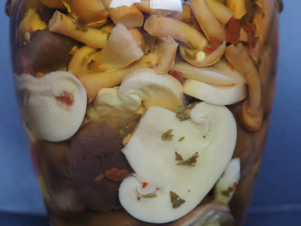 Champignons et cèpes mélangés dans un bocal — Photo