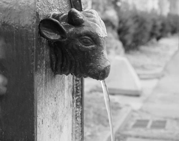 Věž pitná fontána v Turíně, černá a bílá — Stock fotografie