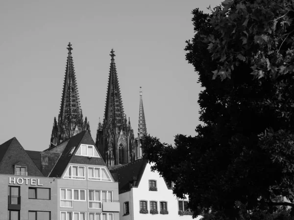 Altstadt (Gamla stan) i Koeln, svart och vitt — Stockfoto