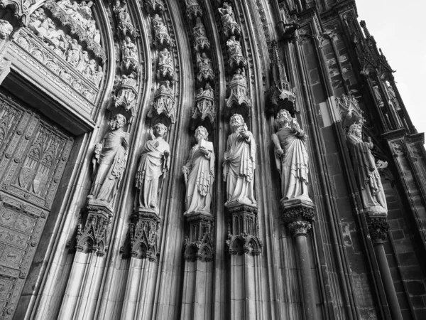 St Peter Cathedral in Koeln, black and white — Stock Photo, Image