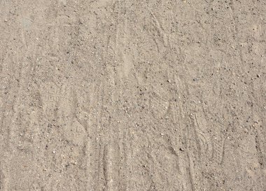 kum arka ayak izleri