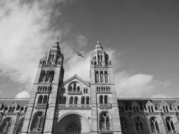 Natural History Museum i London, svart och vitt — Stockfoto