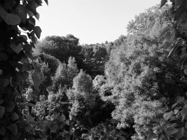 Vista del campo en Chepstow, blanco y negro — Foto de Stock