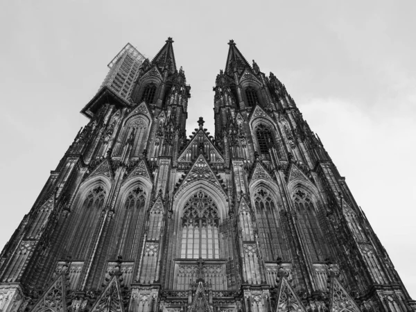 Sint-Pieterskathedraal in Koeln, zwart-wit — Stockfoto