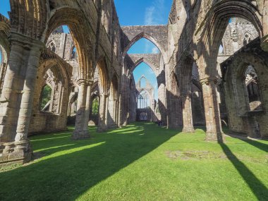 Tintern Manastırı (Abaty Tyndyrn) Tintern içinde