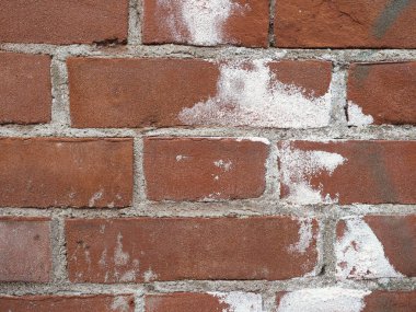 efflorescence on a wall