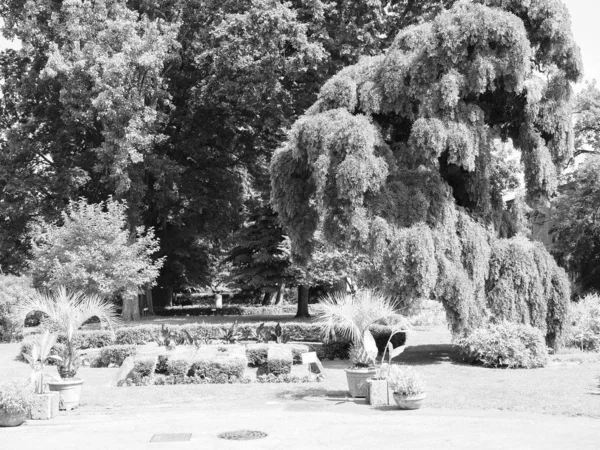 Kebun raya di Turin, hitam dan putih — Stok Foto