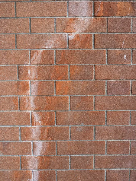 Efflorescence on a wall — Stock Photo, Image