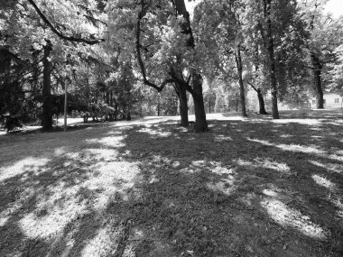 Valentino park in Turin, black and white