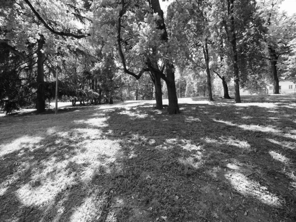 Valentino parque em Turim, preto e branco — Fotografia de Stock