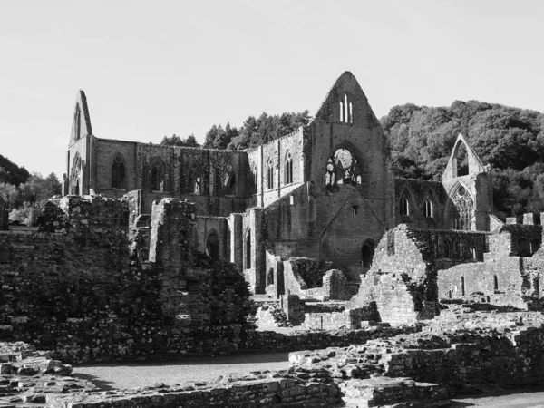 Tintern abbey (abaty tyndyrn) in tintern, schwarz und weiß — Stockfoto